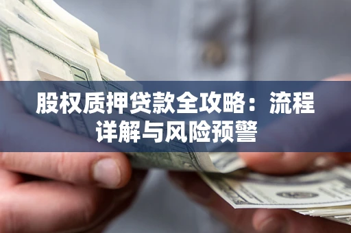 北京股权质押贷款全攻略：流程详解与风险预警