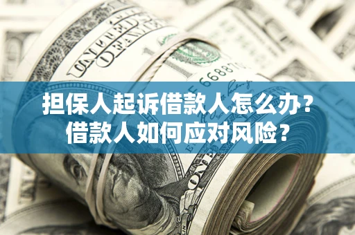 北京担保人起诉借款人怎么办？借款人如何应对风险？