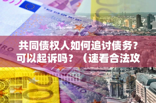 北京共同债权人如何追讨债务？可以起诉吗？（速看合法攻略）