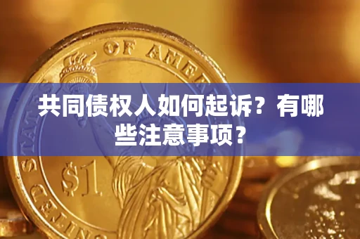 北京共同债权人如何起诉？有哪些注意事项？